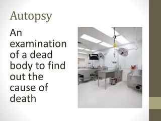 Forensic Science Vocabulary