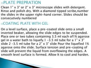 oPLATE PREPRATION
Clean 1” x 3” or 2” x 3” microscope slides with detergent.
Rinse and polish dry. With a diamond tipped scribe,number
the slides in the upper right-hand corner. Slides should be
consecutively numbered
oCOATING PLATE WITH GEL
On a level surface, place a pre-coated slide onto a small
inverted beaker, allowing the slide edges to be suspended.
Place one or two tubes containing 3.5 ml each of1% agarose
gel in a water bath to liquefy.1 –3.5 ml tube for a 1” x 3”
slide 2 –3.5 ml tube for a 2” x 3” slide Pour the liquefied 1%
agarose onto the slide. Surface tension and pre-coating of
slide will prevent the liquid from overflowing the edges. A
smooth level surface is formed. Allow It to cool and harden.
 