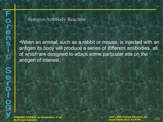 8-21
©2011, 2008 Pearson Education, Inc.
Upper Saddle River, NJ 07458
FORENSIC SCIENCE: An Introduction, 2nd
ed.
By Richard Saferstein 8-21
©2011, 2008 Pearson Education, Inc.
Upper Saddle River, NJ 07458
FORENSIC SCIENCE: An Introduction, 2nd
ed.
By Richard Saferstein
Antigen-Antibody ReactionAntigen-Antibody Reaction
•When an animal, such as a rabbit or mouse, is injected with an
antigen its body will produce a series of different antibodies, all
of which are designed to attack some particular site on the
antigen of interest.
 