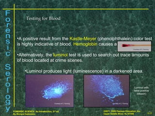 8-25
©2011, 2008 Pearson Education, Inc.
Upper Saddle River, NJ 07458
FORENSIC SCIENCE: An Introduction, 2nd
ed.
By Richard Saferstein 8-25
©2011, 2008 Pearson Education, Inc.
Upper Saddle River, NJ 07458
FORENSIC SCIENCE: An Introduction, 2nd
ed.
By Richard Saferstein
Testing for BloodTesting for Blood
•A positive result from the Kastle-Meyer (phenolphthalein) color test
is highly indicative of blood. Hemoglobin causes a deep pink color.
•Alternatively, the luminol test is used to search out trace amounts
of blood located at crime scenes.
•Luminol produces light (luminescence) in a darkened area.
Courtesy of C. Fanning Courtesy of C. Fanning
Luminol with
false positive
(bleach)
Courtesy of C. Fanning
 