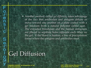 8-32
©2011, 2008 Pearson Education, Inc.
Upper Saddle River, NJ 07458
FORENSIC SCIENCE: An Introduction, 2nd
ed.
By Richard Saferstein
 Another method, calledAnother method, called gel diffusion,gel diffusion, takes advantagetakes advantage
of the fact that antibodies and antigens diffuse orof the fact that antibodies and antigens diffuse or
move toward one another on a plate coated with amove toward one another on a plate coated with a
gel medium from a natural polymer called agar.gel medium from a natural polymer called agar.
The extracted bloodstain and the human antiserumThe extracted bloodstain and the human antiserum
are placed in separate holes opposite each other onare placed in separate holes opposite each other on
the gel. If the blood is human, a line of precipitationthe gel. If the blood is human, a line of precipitation
forms where the antigens and antibodies meet.forms where the antigens and antibodies meet.
Gel DiffusionGel Diffusion
 