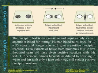 8-34
©2011, 2008 Pearson Education, Inc.
Upper Saddle River, NJ 07458
FORENSIC SCIENCE: An Introduction, 2nd
ed.
By Richard Saferstein 8-34
©2011, 2008 Pearson Education, Inc.
Upper Saddle River, NJ 07458
FORENSIC SCIENCE: An Introduction, 2nd
ed.
By Richard Saferstein
The precipitin test is very sensitive and requires only a small
amount of blood for testing. Human bloodstains dried for 10
– 15 years and longer may still give a positive precipitin
reaction. Even extracts of tissue from mummies four to five
thousand years old have given positive reactions with this
test. Furthermore, human bloodstains diluted by washing in
water and left with only a faint color may still yield a positive
precipitin reaction.
 
