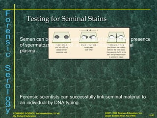 8-40
©2011, 2008 Pearson Education, Inc.
Upper Saddle River, NJ 07458
FORENSIC SCIENCE: An Introduction, 2nd
ed.
By Richard Saferstein
Testing for Seminal StainsTesting for Seminal Stains
Semen can be unequivocally identified by either the presence
of spermatozoa or of p30, a protein unique to seminal
plasma.
Forensic scientists can successfully link seminal material to
an individual by DNA typing.
 