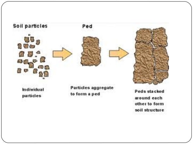 Each individual. Структура почвы. Kinds of Soil. Soil structure Types. Structure of the Soil profile.