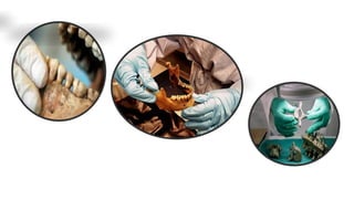 Example Forensic Reciprocal Roles Forensic Team Members and their roles.pptx