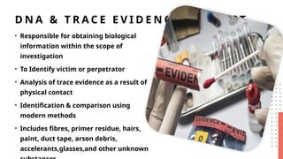 Example Forensic Reciprocal Roles Forensic Team Members and their roles.pptx