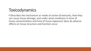 Toxicodynamics
Describes the mechanism or mode of action of toxicants, how they
can cause tissue damage, and under what conditions in term of
tissue concentrations and time of tissue exposure/ dose do adverse
effects on tissue structure and function occur
 