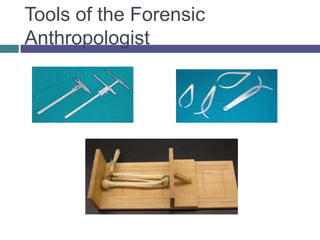 Tools of the Forensic
Anthropologist
 