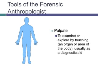 Tools of the Forensic
Anthropologist


                   Palpate
                     Toexamine or
                     explore by touching
                     (an organ or area of
                     the body), usually as
                     a diagnostic aid
 