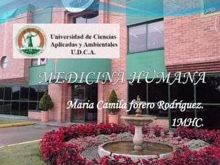 Maria Camila forero Rodríguez.
1MHC.
 
