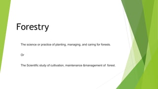 Forestry
The science or practice of planting, managing, and caring for forests.
Or
The Scientific study of cultivation, maintenance &management of forest.
 