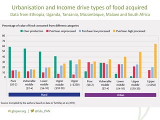 Foresight Report on food systems and diets: Facing the challenges of ...
