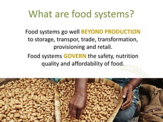 Foresight Report on food systems and diets: Facing the challenges of ...