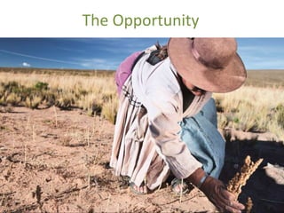 Foresight Report on food systems and diets: Facing the challenges of ...