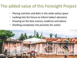 Foresight Report on food systems and diets: Facing the challenges of ...