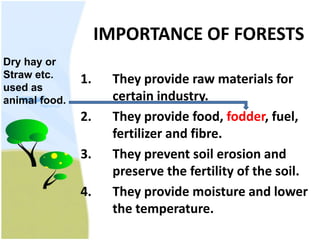 IMPORTANCE OF FORESTSDry hay orStraw etc. used as animal food.1.They provide raw materials for 	certain industry. 	2.		They provide food, fodder, fuel, 	fertilizer and fibre.3.		They prevent soil erosion and 	preserve the fertility of the soil.4.		They provide moisture and lower 	the temperature. 