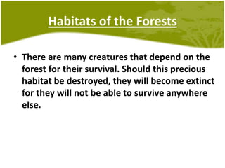 Habitats of the ForestsThere are many creatures that depend on the forest for their survival. Should this precious habitat be destroyed, they will become extinct for they will not be able to survive anywhere else.