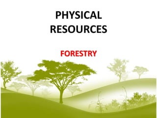 Forest | PPSX image.