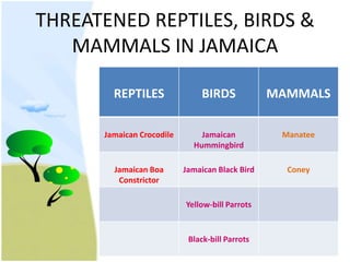 THREATENED REPTILES, BIRDS & MAMMALS IN JAMAICA