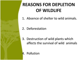 REASONS FOR DEPLETION OF WILDLIFEAbsence of shelter to wild animals.DeforestationDestruction of wild plants which affects the survival of wild  animalsPollution 