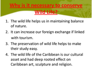 Why is it necessary to conserve Wild Life?The wild life helps us in maintaining balance of nature. It can increase our foreign exchange if linked       with tourism.  The preservation of wild life helps to make their study easy.The wild life of the Caribbean is our cultural asset and had deep rooted effect on Caribbean art, sculpture and religion.