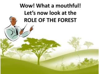 Wow! What a mouthful!Let’s now look at theROLE OF THE FOREST
