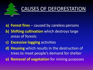    Maintains the composition of the atmosphere