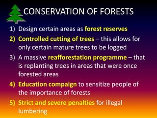    Reduces noise pollution   Acts as a wind barrier from heavy winds
