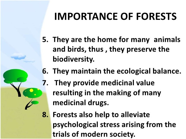 Forest conservation essay