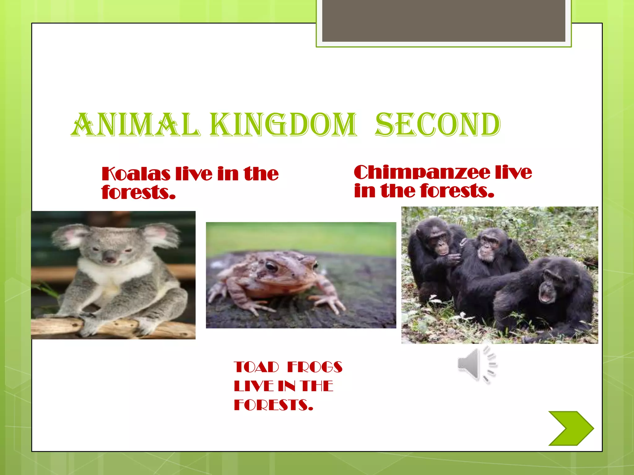Animal kingdom SECOND
 Koalas live in the         Chimpanzee live
 forests.                   in the forests.




              TOAD FROGS
              LIVE IN THE
              FORESTS.
 