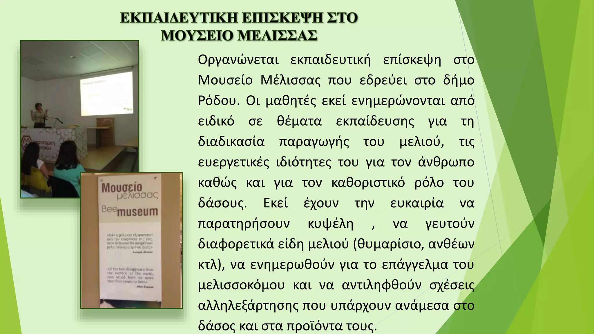 Οργανώνεται εκπαιδευτική επίσκεψη στο
Μουσείο Μέλισσας που εδρεύει στο δήμο
Ρόδου. Οι μαθητές εκεί ενημερώνονται από
ειδικό σε θέματα εκπαίδευσης για τη
διαδικασία παραγωγής του μελιού, τις
ευεργετικές ιδιότητες του για τον άνθρωπο
καθώς και για τον καθοριστικό ρόλο του
δάσους. Εκεί έχουν την ευκαιρία να
παρατηρήσουν κυψέλη , να γευτούν
διαφορετικά είδη μελιού (θυμαρίσιο, ανθέων
κτλ), να ενημερωθούν για το επάγγελμα του
μελισσοκόμου και να αντιληφθούν σχέσεις
αλληλεξάρτησης που υπάρχουν ανάμεσα στο
δάσος και στα προϊόντα τους.
 