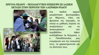 Στα παιδιά αρχικά
μοιράστηκαν φωτογραφίες
με θάμνους, πόες και
φρύγανα της περιοχής, τα
οποία οι μαθητές έπρεπε να
αναζητήσουν και να
αναγνωρίσουν στο
περιβάλλον. Αφού
συλλέχθηκαν τα δείγματα, ο
κ. Παπαδόπουλος μας
ενημέρωσε για την ονομασία
τους, τα χαρακτηριστικά και
τις ιδιότητές τους.
 