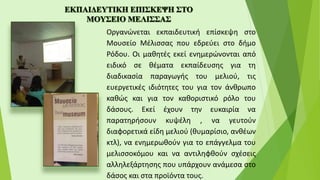Οργανώνεται εκπαιδευτική επίσκεψη στο
Μουσείο Μέλισσας που εδρεύει στο δήμο
Ρόδου. Οι μαθητές εκεί ενημερώνονται από
ειδικό σε θέματα εκπαίδευσης για τη
διαδικασία παραγωγής του μελιού, τις
ευεργετικές ιδιότητες του για τον άνθρωπο
καθώς και για τον καθοριστικό ρόλο του
δάσους. Εκεί έχουν την ευκαιρία να
παρατηρήσουν κυψέλη , να γευτούν
διαφορετικά είδη μελιού (θυμαρίσιο, ανθέων
κτλ), να ενημερωθούν για το επάγγελμα του
μελισσοκόμου και να αντιληφθούν σχέσεις
αλληλεξάρτησης που υπάρχουν ανάμεσα στο
δάσος και στα προϊόντα τους.
 