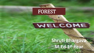 FOREST
Shruti Bhargava
M.Ed 1st Year
 
