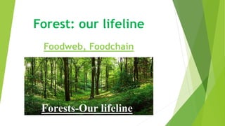 Forest: our lifeline
Foodweb, Foodchain
 