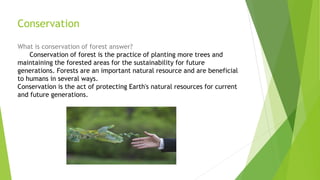 Conservation
What is conservation of forest answer?
Conservation of forest is the practice of planting more trees and
maintaining the forested areas for the sustainability for future
generations. Forests are an important natural resource and are beneficial
to humans in several ways.
Conservation is the act of protecting Earth's natural resources for current
and future generations.
 