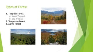 Types of Forest
1. Tropical Forest
a) Moist Tropical
b) Dry Tropical
2. Temperate Forest
3. Alpine Forest
 