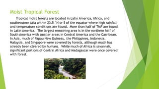 Moist Tropical Forest
Tropical moist forests are located in Latin America, Africa, and
southeastern Asia within 23.5 °N or S of the equator where high rainfall
and temperature conditions are found. More than half of TMF are found
in Latin America. The largest remaining area is in the northern half of
South America with smaller areas in Central America and the Carribean.
In Asia, much of Papau New Guineau, the Philippines, Indonesia,
Malaysia, and Singapore were covered by forests, although much has
already been cleared by humans. While much of Africa is savannah,
significant portions of Central Africa and Madagascar were once covered
with forest.
 