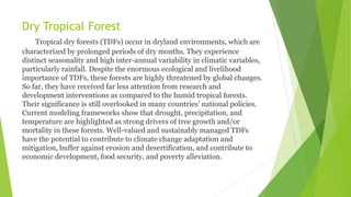 Dry Tropical Forest
Tropical dry forests (TDFs) occur in dryland environments, which are
characterized by prolonged periods of dry months. They experience
distinct seasonality and high inter-annual variability in climatic variables,
particularly rainfall. Despite the enormous ecological and livelihood
importance of TDFs, these forests are highly threatened by global changes.
So far, they have received far less attention from research and
development interventions as compared to the humid tropical forests.
Their significance is still overlooked in many countries’ national policies.
Current modeling frameworks show that drought, precipitation, and
temperature are highlighted as strong drivers of tree growth and/or
mortality in these forests. Well-valued and sustainably managed TDFs
have the potential to contribute to climate change adaptation and
mitigation, buffer against erosion and desertification, and contribute to
economic development, food security, and poverty alleviation.
 