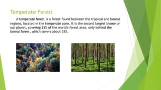 Temperate Forest
A temperate forest is a forest found between the tropical and boreal
regions, located in the temperate zone. It is the second largest biome on
our planet, covering 25% of the world's forest area, only behind the
boreal forest, which covers about 33%.
 