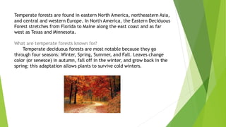 Temperate forests are found in eastern North America, northeastern Asia,
and central and western Europe. In North America, the Eastern Deciduous
Forest stretches from Florida to Maine along the east coast and as far
west as Texas and Minnesota.
What are temperate forests known for?
Temperate deciduous forests are most notable because they go
through four seasons: Winter, Spring, Summer, and Fall. Leaves change
color (or senesce) in autumn, fall off in the winter, and grow back in the
spring; this adaptation allows plants to survive cold winters.
 