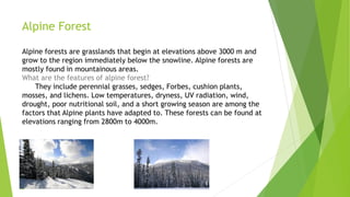 Alpine Forest
Alpine forests are grasslands that begin at elevations above 3000 m and
grow to the region immediately below the snowline. Alpine forests are
mostly found in mountainous areas.
What are the features of alpine forest?
They include perennial grasses, sedges, Forbes, cushion plants,
mosses, and lichens. Low temperatures, dryness, UV radiation, wind,
drought, poor nutritional soil, and a short growing season are among the
factors that Alpine plants have adapted to. These forests can be found at
elevations ranging from 2800m to 4000m.
 