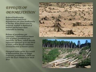 EFFEGTS OF
DEFORESTATION
Reduced biodiversity:
Deforestation and forest
degradation can cause biodiversity
to decline. When forest cover is
removed, wildlife is deprived of
habitat and becomes more
vulnerable to hunting.
Release of greenhouse gas
emissions: --Deforestation causes
15% of global greenhouse gas
emissions. Of these, carbon dioxide
emissions represent up to one-third
of total carbon dioxide emissions
released because of human causes.
Disrupted water cycles: As a result
of deforestation, trees no longer
evaporate groundwater, which can
cause the local climate to be much
drier.
 