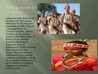 TRIBAL PEOPLE
OF INDIA
Adivasi or tribal people is set
of ethnic and tribal groups
believed to be the aboriginal
population of India. They are
commonly known as
"Adivasi" in India. Adivasi
societies are particularly
present in the Indian states of
Kerala, Orissa, Madhya
Pradesh, Chhattisgarh,
Rajasthan, Gujarat,
Maharashtra, Andhra Pradesh,
Bihar, Jharkhand, West
Bengal, Mizoram and other
northeastern states, and the
Andaman and Nicobar Islands.
Many smaller tribal groups are
quite sensitive to ecological
degradation caused by
modernization.
 