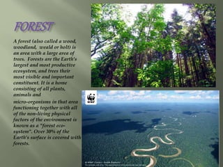 FOREST
A forest (also called a wood,
woodland, weald or holt) is
an area with a large area of
trees. Forests are the Earth's
largest and most productive
ecosystem, and trees their
most visible and important
constituent. It is a home
consisting of all plants,
animals and
micro-organisms in that area
functioning together with all
of the non-living physical
factors of the environment is
known as a "forest eco-
system". Over 30% of the
Earth's surface is covered with
forests.
 