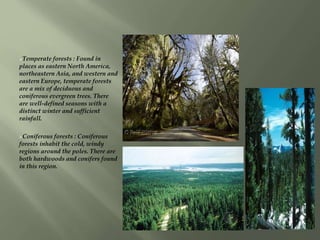 Temperate forests : Found in
places as eastern North America,
northeastern Asia, and western and
eastern Europe, temperate forests
are a mix of deciduous and
coniferous evergreen trees. There
are well-defined seasons with a
distinct winter and sufficient
rainfall.
Coniferous forests : Coniferous
forests inhabit the cold, windy
regions around the poles. There are
both hardwoods and conifers found
in this region.
 