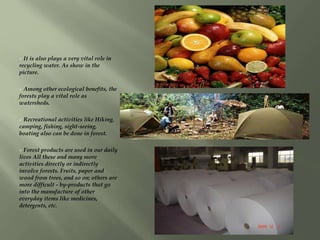  It is also plays a very vital role in
recycling water. As show in the
picture.
 Among other ecological benefits, the
forests play a vital role as
watersheds.
 Recreational activities like Hiking,
camping, fishing, sight-seeing,
boating also can be done in forest.
 Forest products are used in our daily
lives All these and many more
activities directly or indirectly
involve forests. Fruits, paper and
wood from trees, and so on; others are
more difficult - by-products that go
into the manufacture of other
everyday items like medicines,
detergents, etc.
 