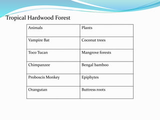Tropical Hardwood Forest
Animals Plants
Vampire Bat Coconut trees
Toco Tucan Mangrove forests
Chimpanzee Bengal bamboo
Proboscis Monkey Epiphytes
Orangutan Buttress roots
 