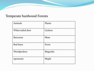 Temperate hardwood Forests
Animals Plants
White tailed deer Lichens
Raccoons Moss
Red foxes Ferns
Woodpeckers Magnolia
opossums Maple
 