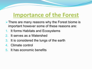 Importance of the Forest
There are many reasons why the Forest biome is
important however some of these reasons are:
1. It forms Habitats and Ecosystems
2. It serves as a Watershed
3. It is considered the lungs of the earth
4. Climate control
5. It has economic benefits
 